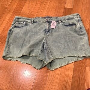 NWT torrid women’s acid jade jean shorts size 22.